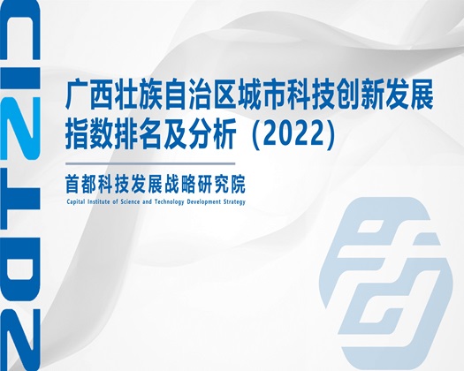 大几把操女人逼逼视频【成果发布】广西壮族自治区城市科技创新发展指数排名及分析（2022）